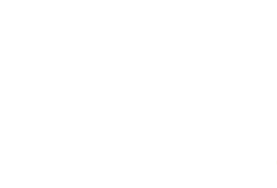 Park Avenue VIP - Landing Page